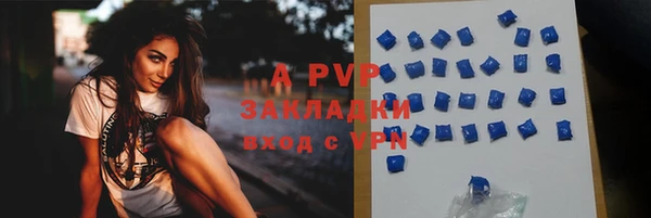 твердый Алексин