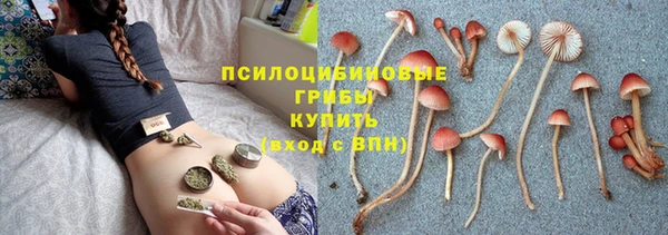 твердый Алексин