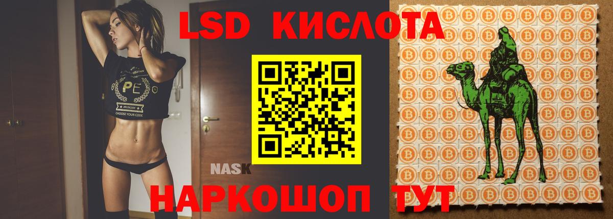 Фрязино  МЕГА онион  Вход с VPN  LSD-25 экстази ecstasy  ЛСД экстази ecstasy 
