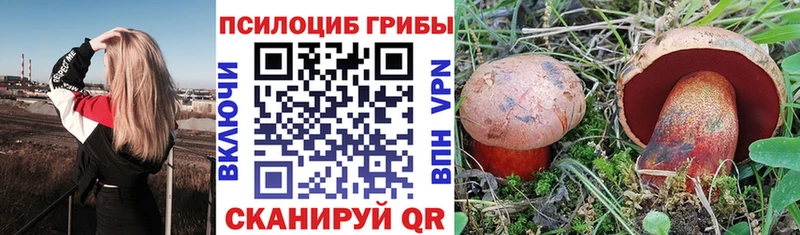 Псилоцибиновые грибы Cubensis Фрязино